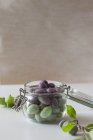 Young green and purple plums — Stock Photo