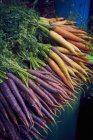 Куча цветной моркови — стоковое фото
