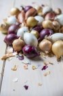 Cipolle colorate diverse — Foto stock