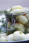 Cebollas de Boretano en vinagre - foto de stock
