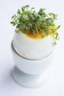 Huevo cocido rematado con brotes frescos - foto de stock