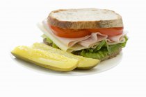 Turkey sandwich and pickles — Stock Photo