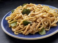 Chicken lo mein noodles with broccoli — Stock Photo