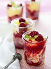 Vanilla ice cream with raspberries — Stock Photo