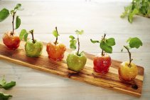 Сільський глазуровані яблука — стокове фото