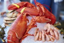 Vue rapprochée des homards, des crevettes et du crabe sur la glace — Photo de stock