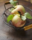 RAW свіжі яблука — стокове фото