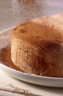 Pastel que se espolvorea con cacao en polvo - foto de stock