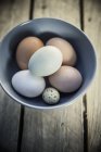 Pollo y huevos de codorniz en tazón - foto de stock
