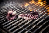 Closeup view of octopus tentacles on a barbecue rack — Stock Photo