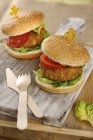 Hamburger vegetariani di tofu — Foto stock
