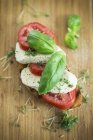 Brot mit Tomaten belegt — Stockfoto