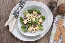 Cheese salad with radishes — Stock Photo
