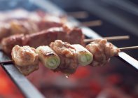 Kebabs de poulet sur un barbecue sur fond flou — Photo de stock