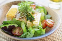 Tofu salad with vegetables — Stock Photo