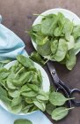 Свіже листя шпинату на білих тарілках — стокове фото