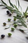 Свежие оливки с оливковой веточкой — стоковое фото