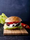 Beef burger with tomatoes — Stock Photo