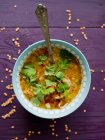 Lentils soup with herbs in bowl — Stock Photo