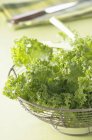 Fresh kale in metal basket — Stock Photo