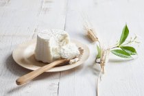 Ricotta on plate with spoon — Stock Photo