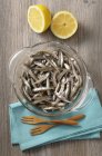 Mini anchovas frescas na tigela — Fotografia de Stock