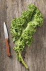 Frisches Grünkohlblatt mit Messer — Stockfoto