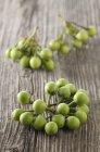 Mini beringelas verdes — Fotografia de Stock