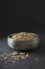 Tigela de sementes de espelta — Fotografia de Stock