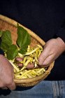 Farmer holding basket — Stock Photo