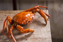 Vue rapprochée du crabe orange sur table en bois — Photo de stock