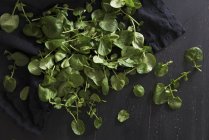ErbaceCrescione verde fresco — Foto stock