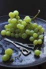 Uvas verdes com tesoura de uva — Fotografia de Stock
