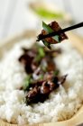 Говядина с луком на рисе — стоковое фото