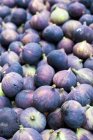 Organic fresh Figs — Stock Photo