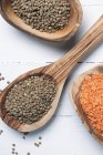 Closeup top view of red and green lentils on wooden spoons — Stock Photo