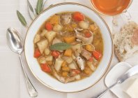 Chicken and butternut squash stew with apple on white plate — Stock Photo
