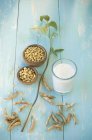 Vetro di latte di soia — Foto stock