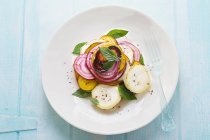 Vegetable salad with herbs on plate — Stock Photo
