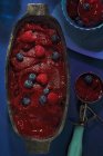 Ягодный сорбет с ягодами — стоковое фото