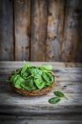 Fresh spinach in basket — Stock Photo