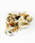 Nahaufnahme von verschiedenen Pilzen auf weißer Oberfläche — Stockfoto