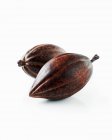 Baccelli di cacao freschi — Foto stock