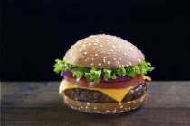 Cheeseburger mit Tomaten und Salat — Stockfoto