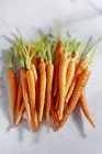 Montón de zanahorias jóvenes - foto de stock