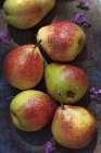 Fresh ripe pears — Stock Photo