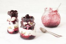 Шаруваті йогурт мюслі — стокове фото