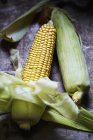Two corn cobs — Stock Photo