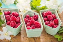 Fresh raspberries in cardboard punnets — Stock Photo