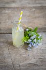 Limonade de rhubarbe en mini bouteille — Photo de stock